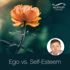Deriving Your Sense of Self from the World of Form