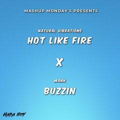 Hot Like Fire X Buzzin (Hapa Boy Mashup)
