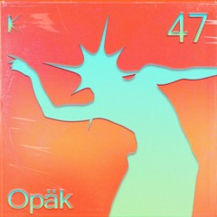 KLUSTERKAST_47｜Opäk