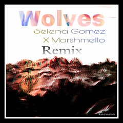 Selena Gomez X Marshmello - Wolves (Rahul Mahesh Remix)