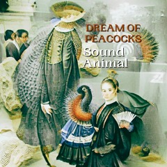 Dream of Peacocks