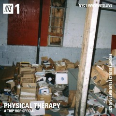 Physical Therapy - Trip Hop Special 200522