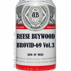 BROVID-69 Vol.3  IG:reesesellwood