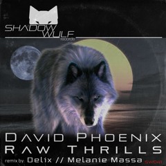 David Phoenix - Evacuate (Original Mix) [PREVIEW]