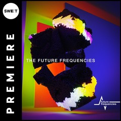 PREMIERE : LERM, Hamoon - Bad Step (Original Mix) [Future Frequencies]