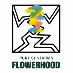 Pure Vibes for Pure Sunfarms