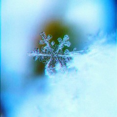 I'm Looking Frost Playlist