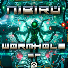 3) Nibiru & Swoopaloops - Cosmic Echo 180 B