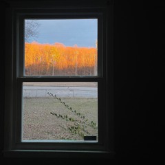30 minutes b4 sunset