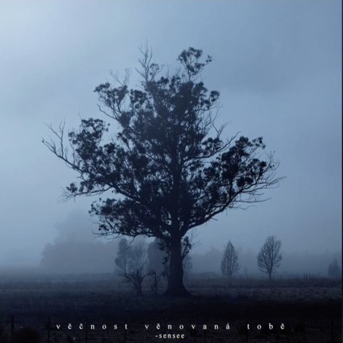 Sensee - Věčnost Věnovaná Tobě