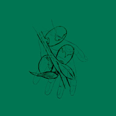 a mano (prod. @jwgans)