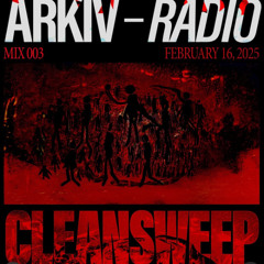 ARKIV - Cleansweep - 16.02.2025 (MIX 003)
