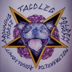 Helta Skelta live at 208 23052010