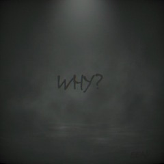 Why? (Prod. by ZEROSAND1NES)