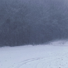 Stay(prod.August Avon)