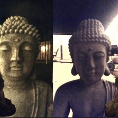 Bright sky birds chirping