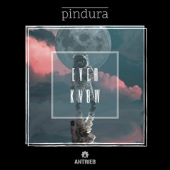 Pindura - Ever Know (FREE DOWNLOAD)