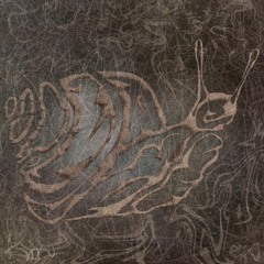 Third Scan - Nematoden
