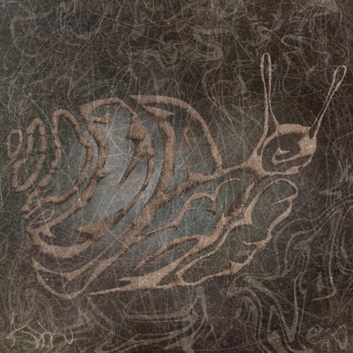 Third Scan - Nematoden