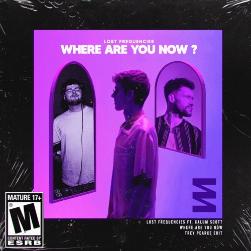 Lost Frequencies Ft Calum Scott - Where Are You Now (Trey Pearce Bootleg)