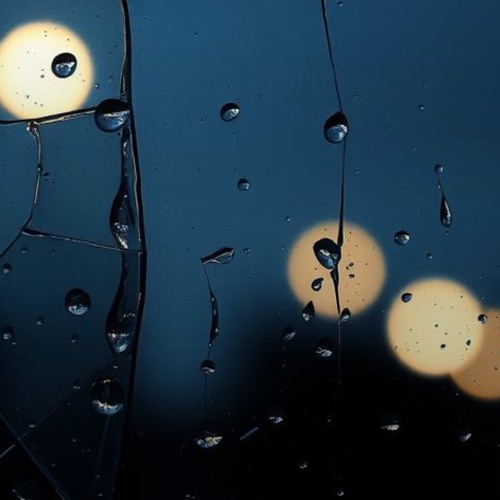 Drip in the Silence