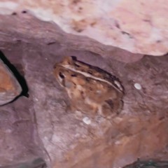 river (ft. prodscoop)