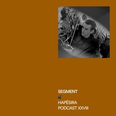 Segment ■ Hapësira Podcast XXVIII