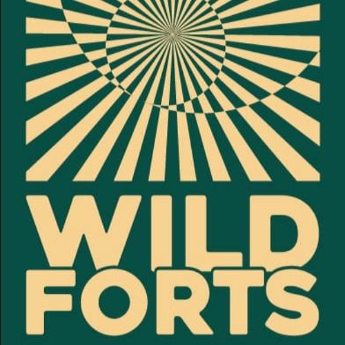 Wild Forts - 808080