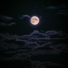 mi camino (prod. motion whips beats)