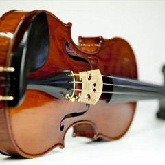 Violin-fun