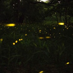 Gloomvilla