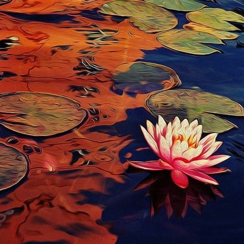 "Lotus Flower" Prod. By CLAYE