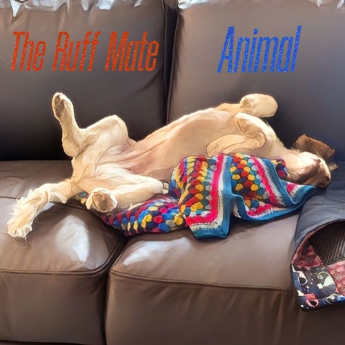 The Ruff Mate - Animal