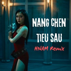Nâng Chén Tiêu Sầu - Bích Phương | HNAM REMIX