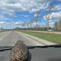 vankue - diss na kurwy co jeżdzą 30 km/h w terenie zabudowanym