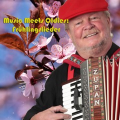 Tulpen aus Amsterdam