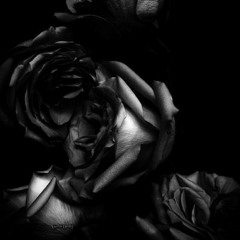 Black  Flower