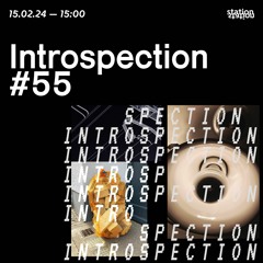 Introspection #55