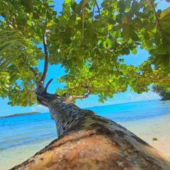 Taweri yai Morning Star 🌟