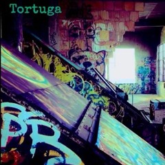 Timeless DEMO - Tortuga