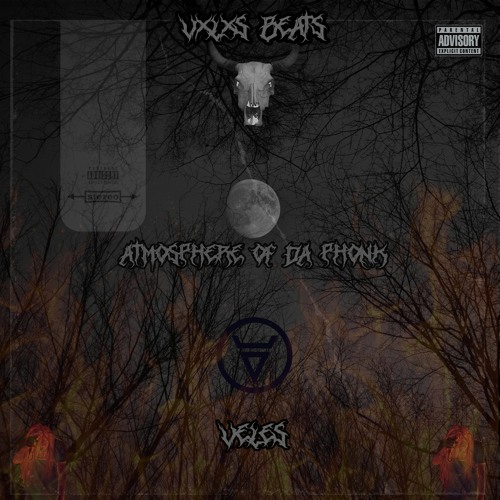 Stream ᛉ VXLXS BEⱯTS ᛉ | Listen To VXLX$(VELES)-Atmosphere Of.