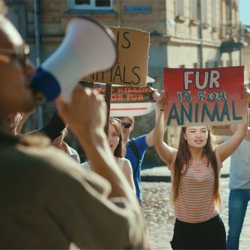 Can ombuds do anything for student protests? Guest: Tom Kosakowski