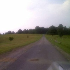 my vitriol - grounded acoustic