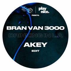 PN0074- Bran Van 3000 - Drinking In L.A (Akey Edit)