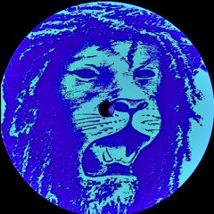 riCo  –  SoundBwoy DUB  ·  ( Champion Version )