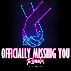 DJ Esi x DuluKava - Officially Missing You (Remix)