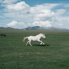 cuando no quede nada