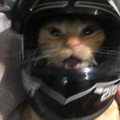 JANDA 7 KALI (TAPI SEMUANYA DUSTA) - KALIA SISKA FT. SKA86 KENTRUNG (OFFICIAL MUSIC VIDEO).mp3