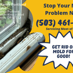Mold Removal Kerns Portland Oregon - Pure Maintenance Portland - 503-461-1006