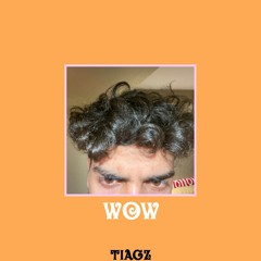 TIAGZ - WOW (TikTok Song)